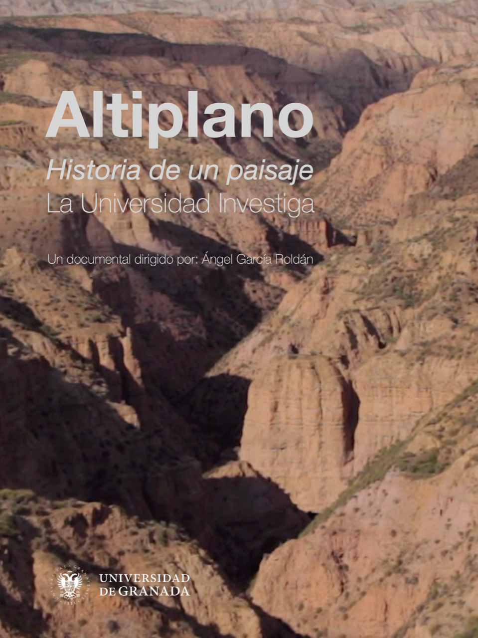 Altiplano