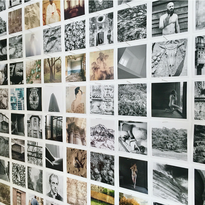 Grilla con múltiples fotografías