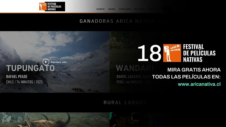 Imagen del Festival Arica Nativa