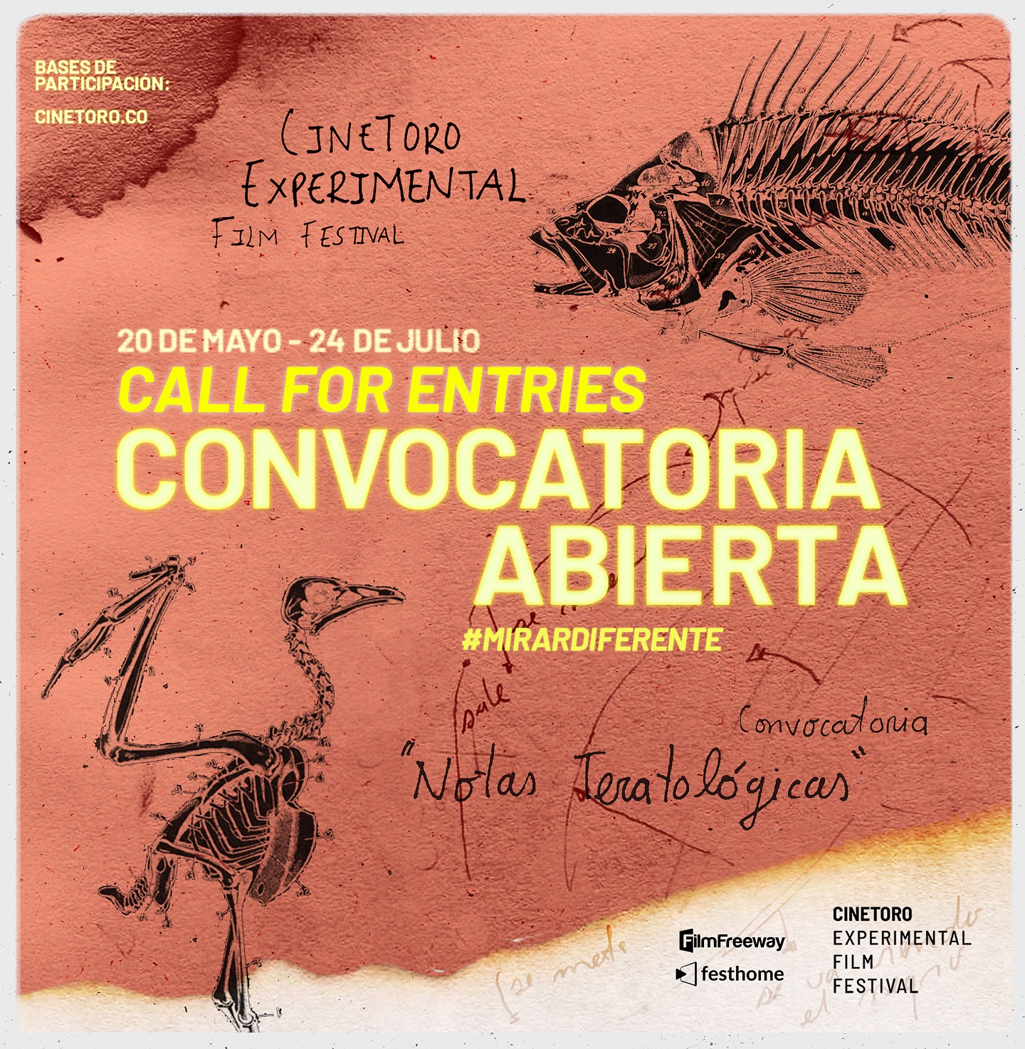 Post de Cinetoro 2024