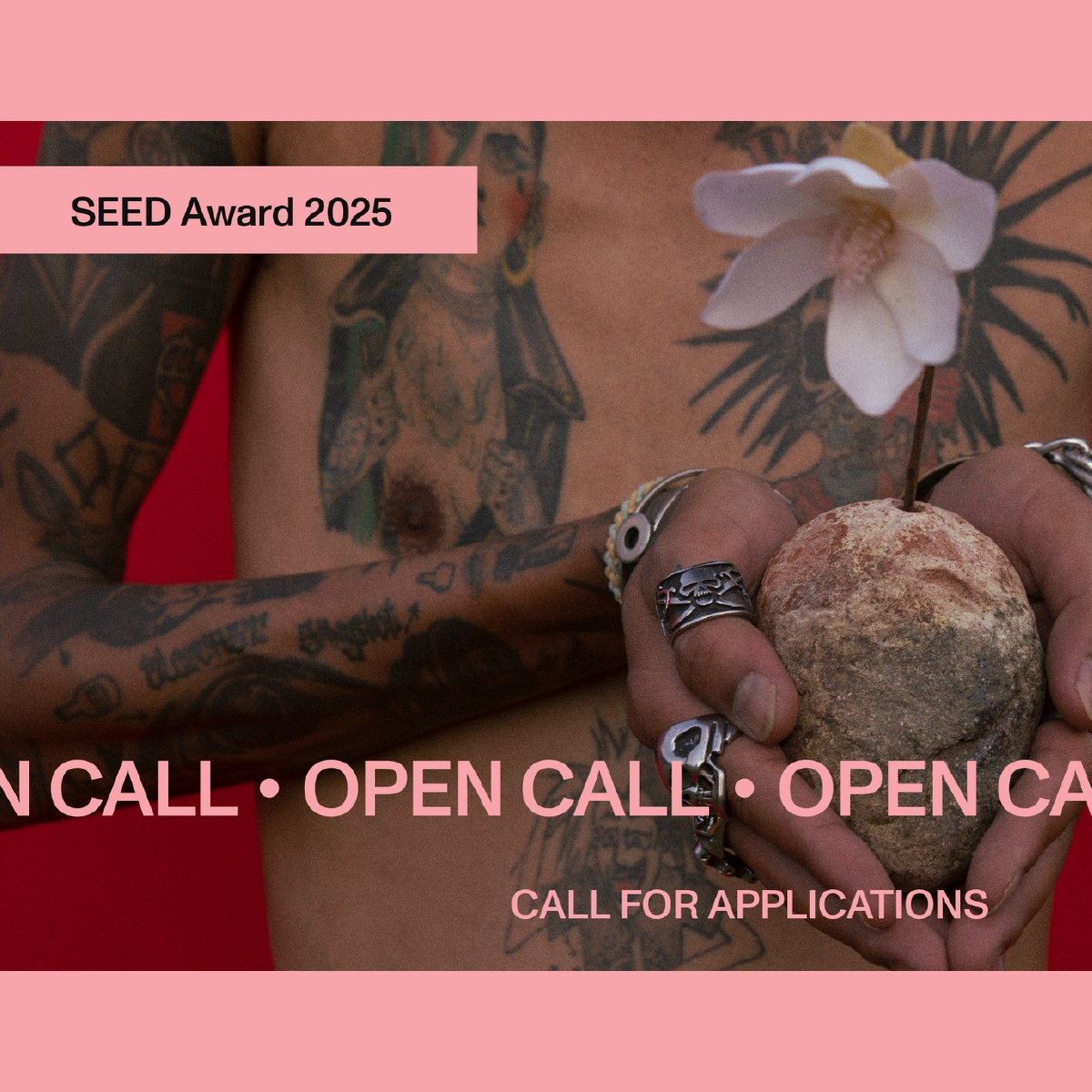 Post del Premio Seed